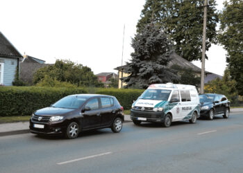 Valdininkas tėškėsi veidu į purvą