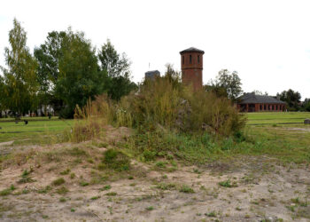 Balandom ir kiečiais apaugus aukštai