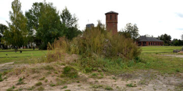 Balandom ir kiečiais apaugus aukštai