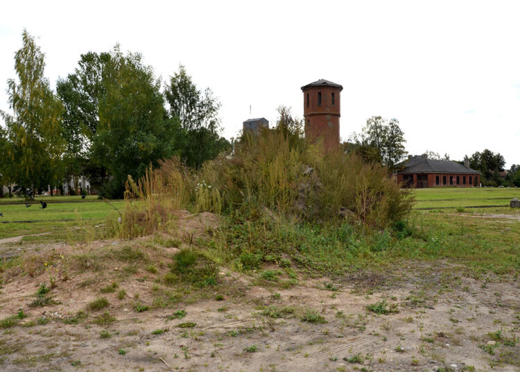 Balandom ir kiečiais apaugus aukštai