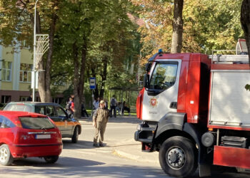 Miesto centrinėje gatvėje buvo naikinamas širšių lizdas