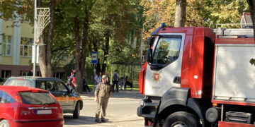 Miesto centrinėje gatvėje buvo naikinamas širšių lizdas