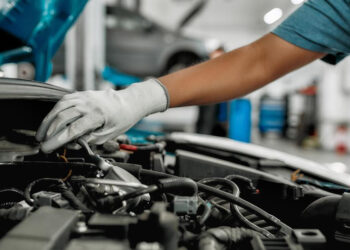 Buvo ardęs tik automobilį „Žiguli“