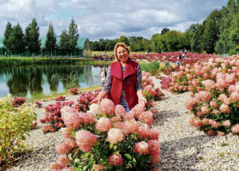 Meilė karališkai gėlei – kardeliams