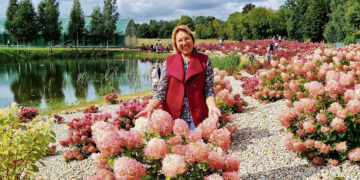 Meilė karališkai gėlei – kardeliams