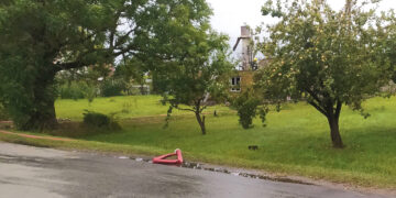 Medeikiuose įtariamas padegimas