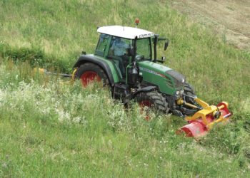 Teismas pripažino, kad Biržų politikai buvo neteisūs