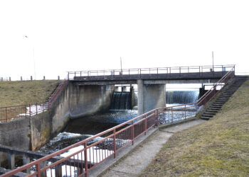 Siūlo išleisti… Širvėnos ežerą