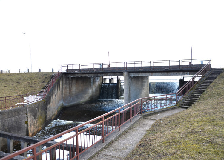 Siūlo išleisti… Širvėnos ežerą