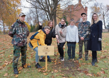 Biržuose pasodintas Stelmužės ąžuolo vaikaitis