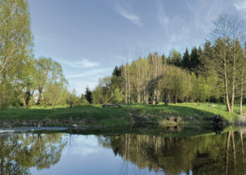 Kenkėjai skriaudžia A. Dauguviečio parką