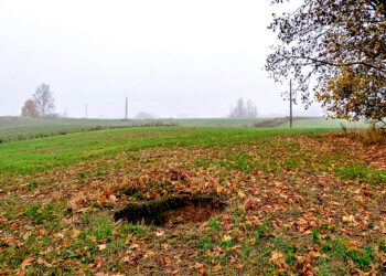 Rasta nauja įgriuva