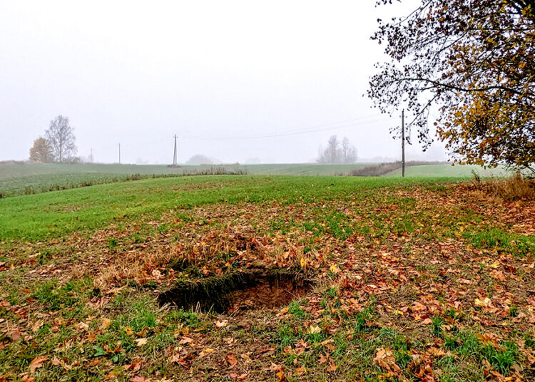 Rasta nauja įgriuva