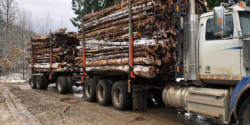 Verslas niokoja – mes apmokame