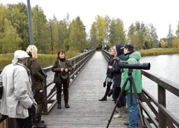 Palydėjo paukščius