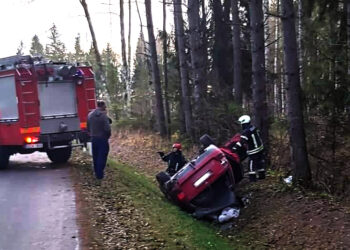 Vogtu automobiliu nusirito į griovį