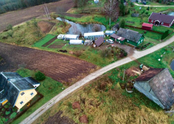 Medinė trispalvė Gerkiškių kaime