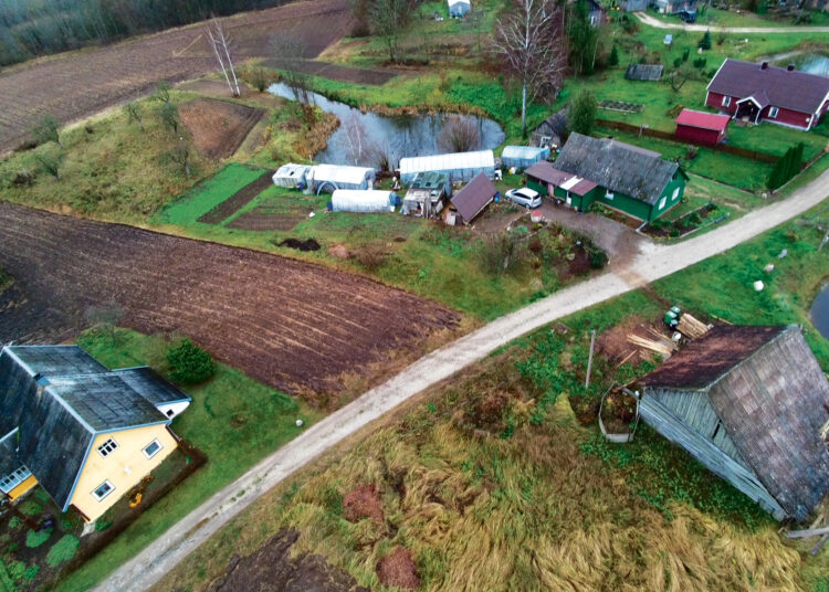 Medinė trispalvė Gerkiškių kaime