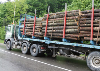 Miškovežiai suka per Vabalninką