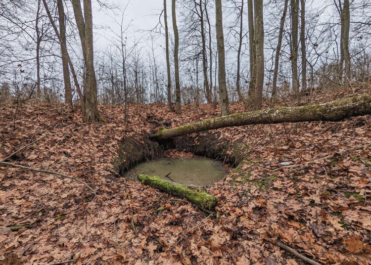 Padaičiuose – didžiausia metų smegduobė