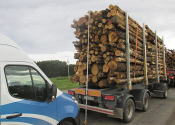 Nustatyta daugybė pažeidimų