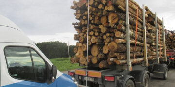 Nustatyta daugybė pažeidimų