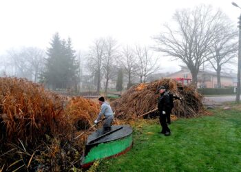 Šienapjūtė grįžo