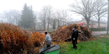 Šienapjūtė grįžo