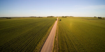 Strateginis planas – kokybiškai naujas žemės ūkio ir kaimo plėtros šuolis