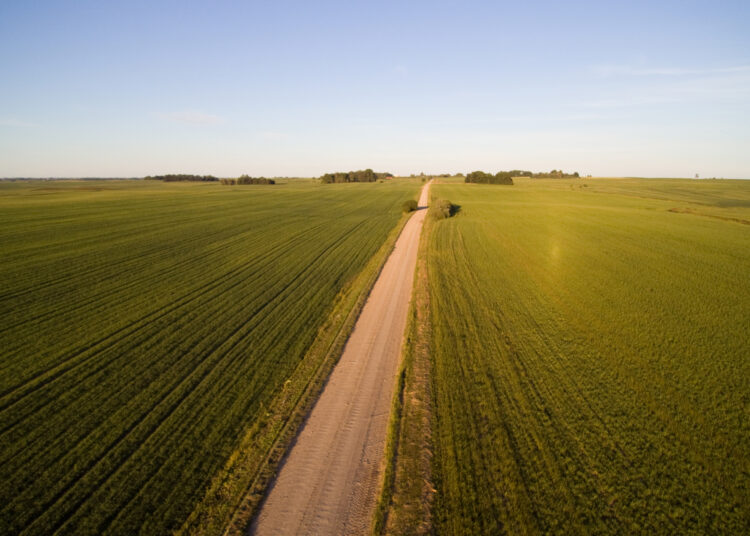 Strateginis planas – kokybiškai naujas žemės ūkio ir kaimo plėtros šuolis