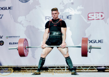 Europos čempionate iškovotas mažasis bronzos medalis