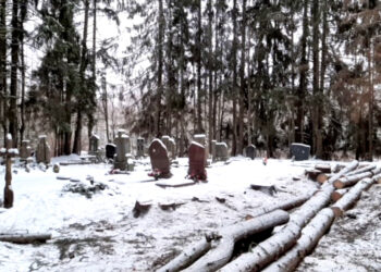 Eglių aptvarą keis tinklas