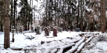 Eglių aptvarą keis tinklas