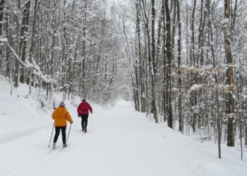 Sniego gausa priminė  apie slidinėjimo pramogą