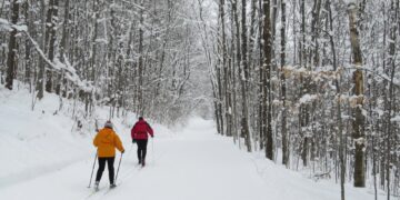 Sniego gausa priminė  apie slidinėjimo pramogą