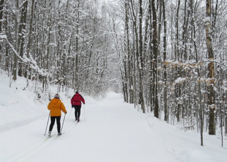 Sniego gausa priminė  apie slidinėjimo pramogą