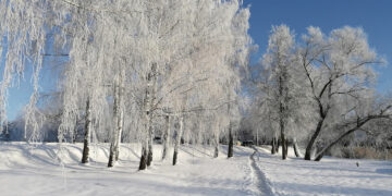 Vienam keliuką nuvalė, kitam pusnis paliko