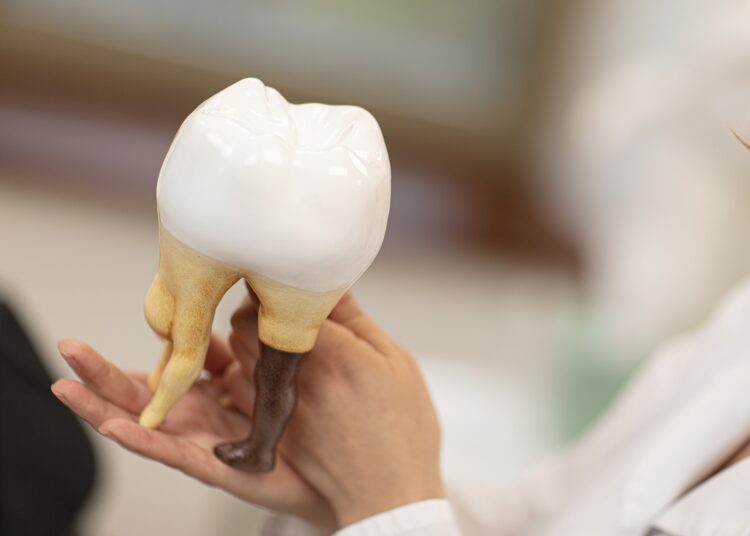 Danties skausmas užklumpa vakarais? Tikriausiai reikės endodontinio gydymo