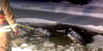 Gyvybę pasiglemžė tvenkinys