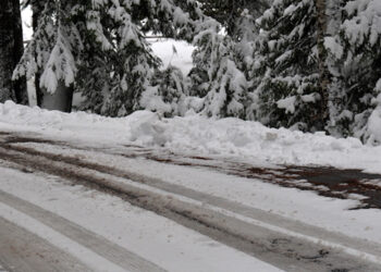 Sniegui nukasti prireikė kelių kastuvo grybšnių