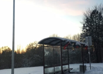 Parovėjos autobusų stotelėje jau šviesu