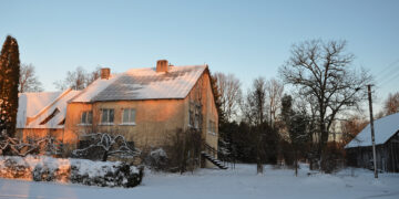 Į Veterinarijos gatvę sugrįš gyvūnai?