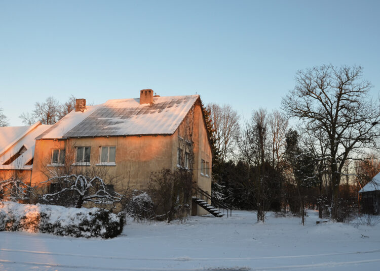 Į Veterinarijos gatvę sugrįš gyvūnai?