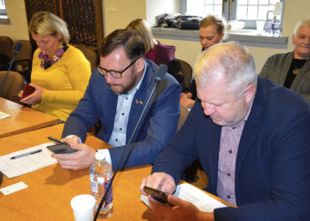 Daliaus Drevinsko politiniai manevrai