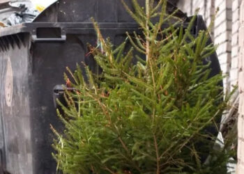 Eglutes prašo sudėti prie konteinerių