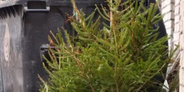 Eglutes prašo sudėti prie konteinerių