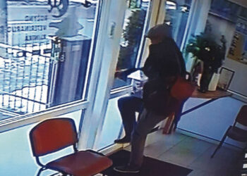 Grinčas pavogė beglobių Kalėdas