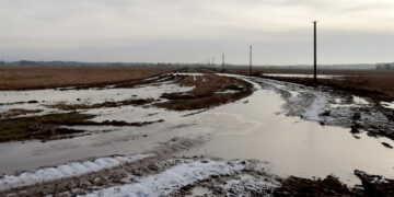 Ar bus sutvarkytas miško vežėjų suniokotas kelias?