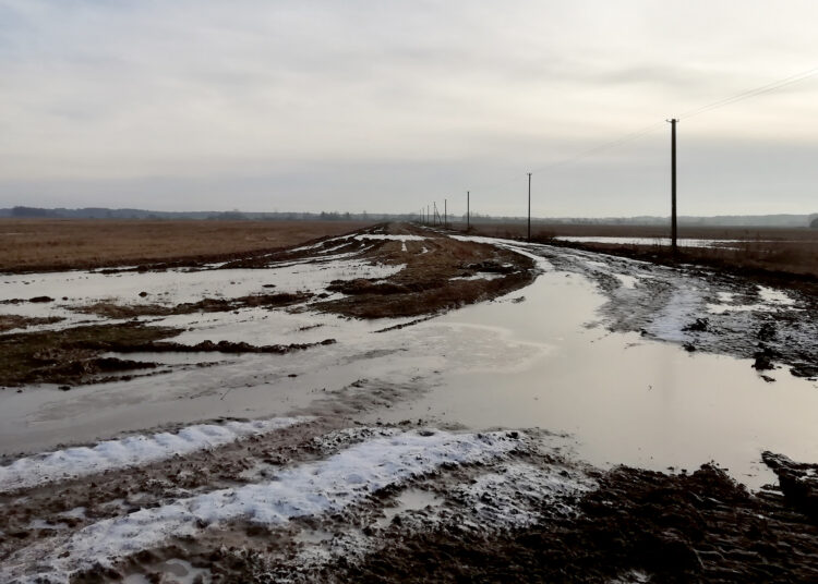 Ar bus sutvarkytas miško vežėjų suniokotas kelias?