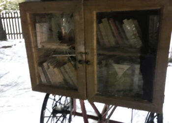 Pasikėsino į mini knygynėlį